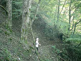 ȃui